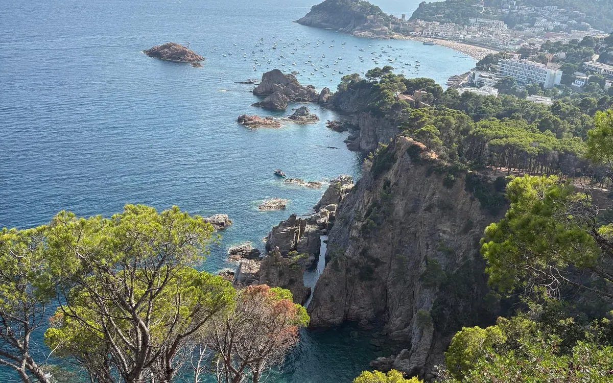 Pine-topped headland and rocky islets above a bay on the Costa Brava coast
