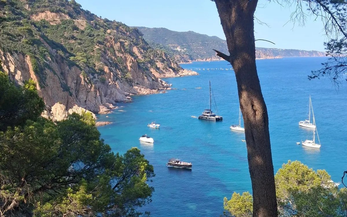 A Costa Brava bay seen through pine trees, with yachts anchored in turquoise water