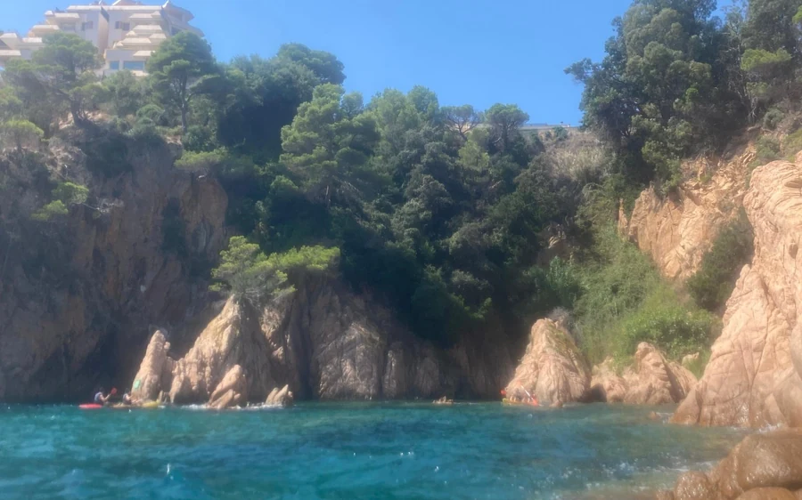 Kayakers at the foot of pine-covered rocks, seen from the water